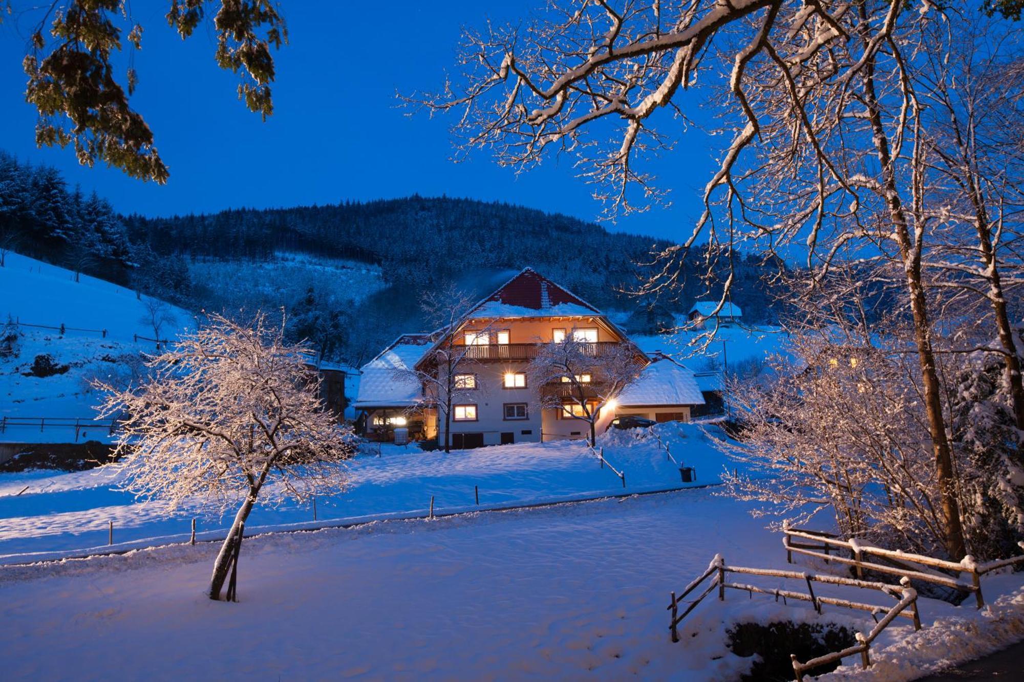 Hotel Schätzlehof Winden im Elztal Exterior foto