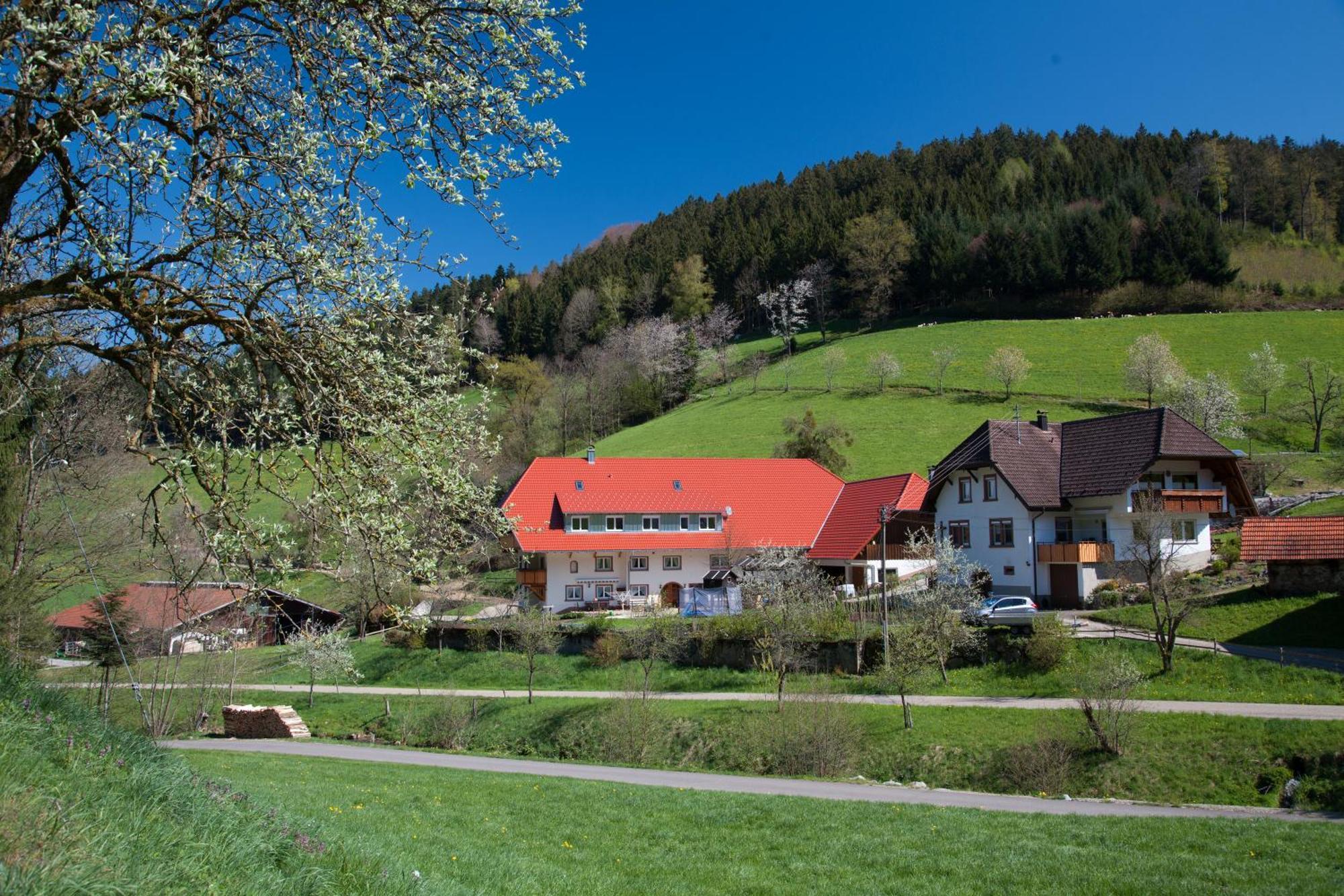 Hotel Schätzlehof Winden im Elztal Exterior foto